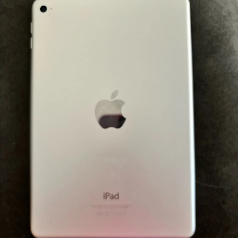 iPad mini 4 no scratches or nicks. Comes with iPad charger pencil and case